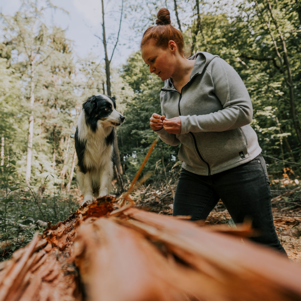 Nordheld Sporthund – Hund aktiv im Wald