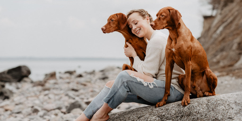 Nordheld Hunde mit Frauchen am Strand
