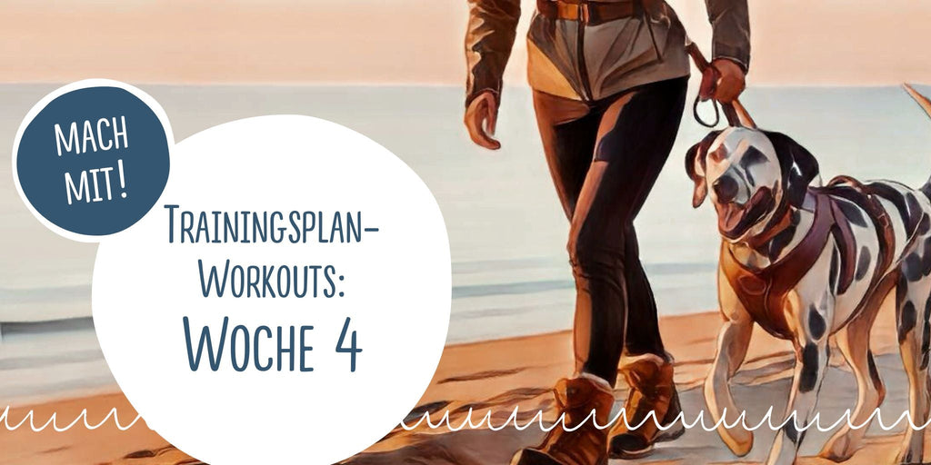 Trainingsplan-Workouts: Woche 4