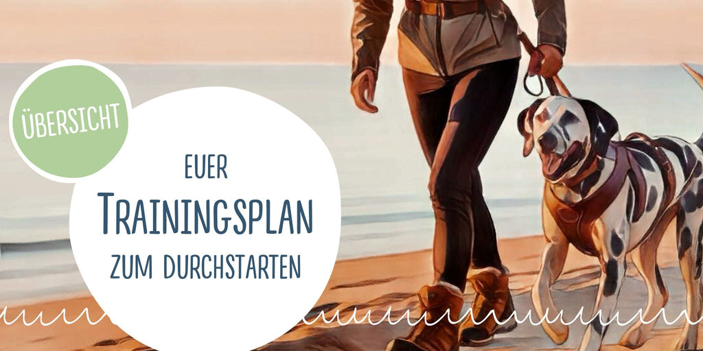 Trainingsplan zum Start ins neue Jahr