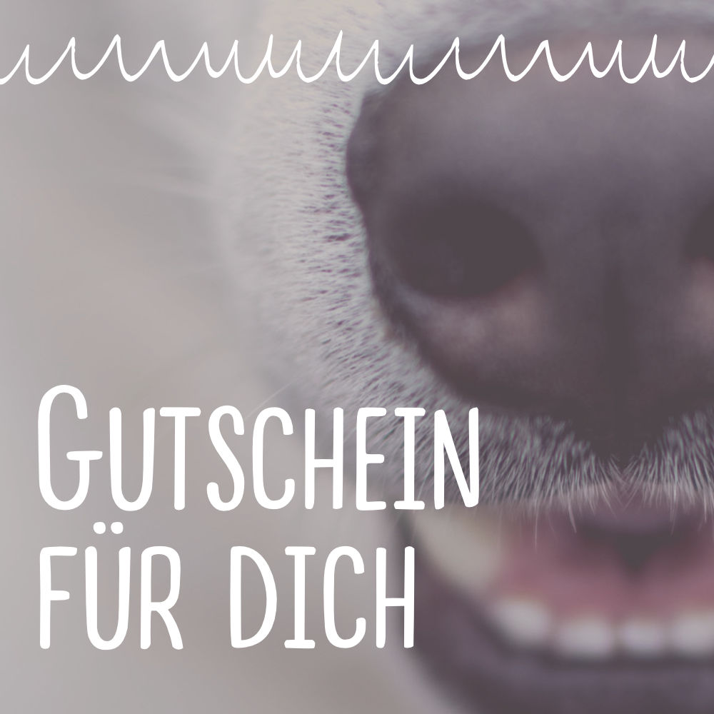 Gutscheine