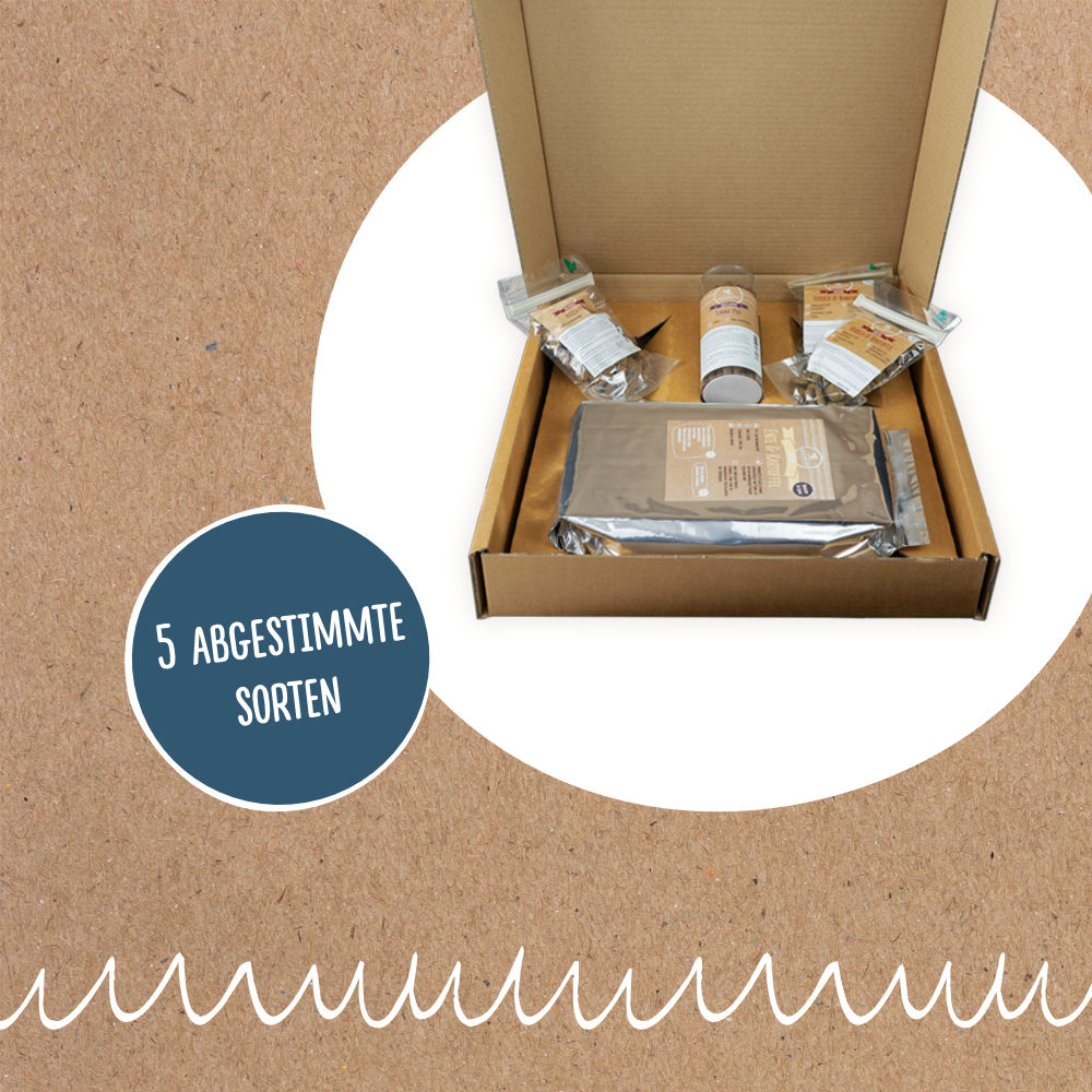 Nordheld Probierpaket Heldenbox